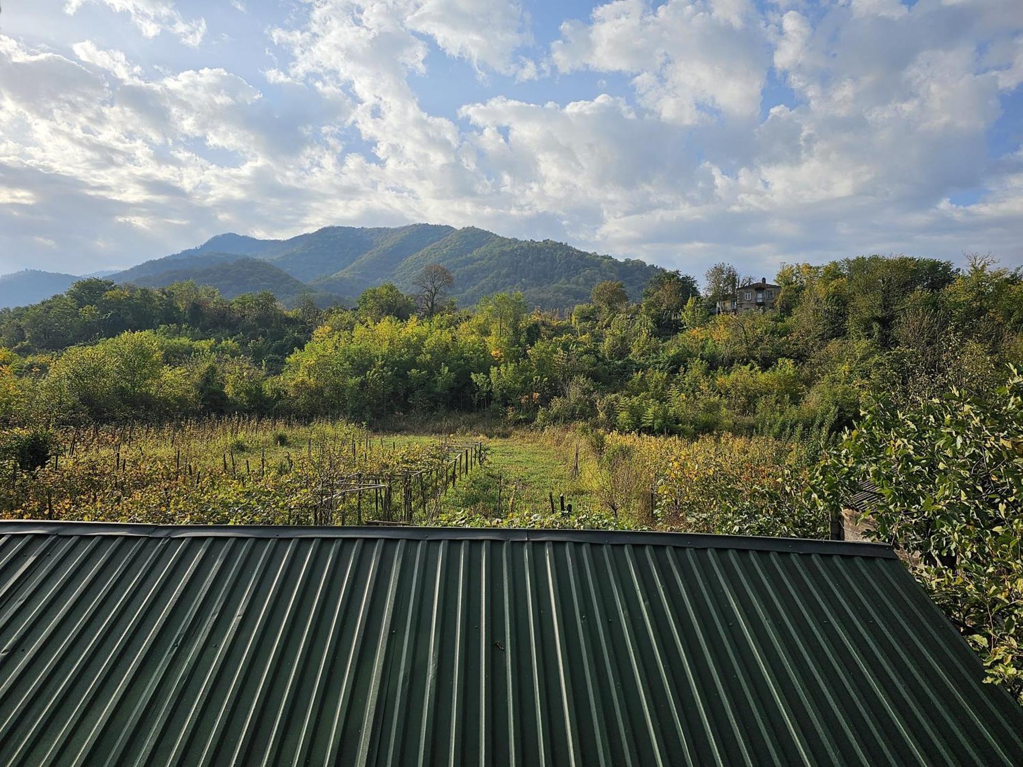 Guesthouse - Family Hotel Bagdati Экстерьер фото